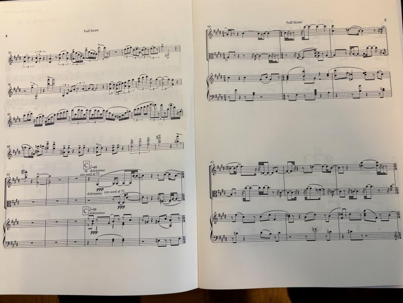 pages 4, 5